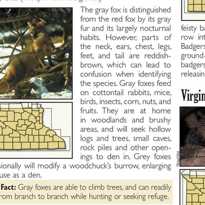 Sportsman's Connection Southern MN All-Outdoors Atlas & Field Guide pg. 142-143 digital map