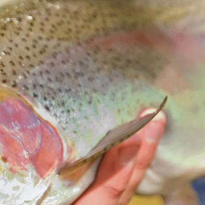 Sportsman's Connection Western NY All-Outdoors Atlas & Field Guide pg. 018-019 digital map