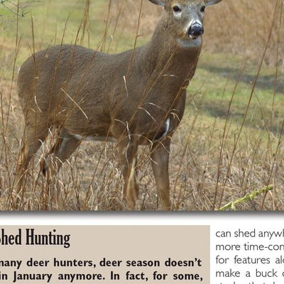 Sportsman's Connection Western NY All-Outdoors Atlas & Field Guide pg. 022-023 digital map