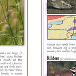 Sportsman's Connection Western NY All-Outdoors Atlas & Field Guide pg. 048-049 digital map