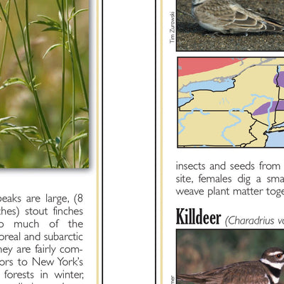 Sportsman's Connection Western NY All-Outdoors Atlas & Field Guide pg. 048-049 digital map