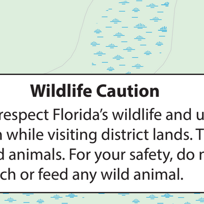 Longleaf Flatwoods Reserve Trails Preview 3