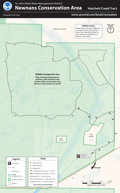 Newnans Lake Conservation Area Trails- Hatchet Creek Tract Preview 1