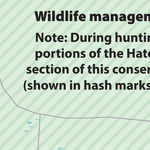Newnans Lake Conservation Area Trails- Hatchet Creek Tract Preview 3