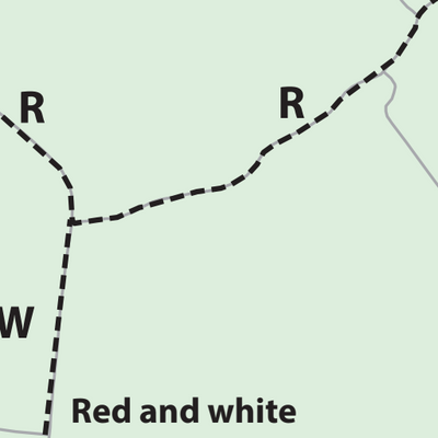 TRAIL MAP - Silver Springs Forest Preview 2