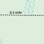 TRAIL MAP - Twelve Mile Swamp Preview 2