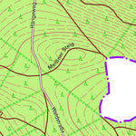 Staatsbetrieb Geobasisinformation und Vermessung Sachsen Berthelsdorf, Neustadt in Sachsen, Stadt (1:10,000 scale) digital map