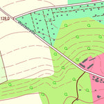 Staatsbetrieb Geobasisinformation und Vermessung Sachsen Bornitz, Liebschützberg (1:10,000 scale) digital map