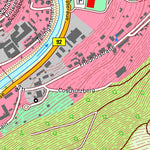 Staatsbetrieb Geobasisinformation und Vermessung Sachsen Brockau, Netzschkau, Stadt (1:10,000 scale) digital map