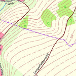 Staatsbetrieb Geobasisinformation und Vermessung Sachsen Eich/Sa., Treuen, Stadt (1:10,000 scale) digital map