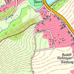 Staatsbetrieb Geobasisinformation und Vermessung Sachsen Friesen, Reichenbach im Vogtland, Stadt (1:10,000 scale) digital map