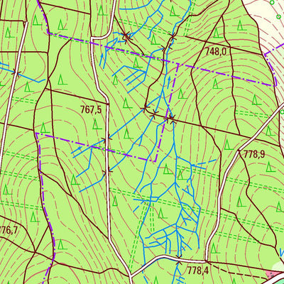 Staatsbetrieb Geobasisinformation und Vermessung Sachsen Königswalde, Königswalde (1:25,000 scale) digital map