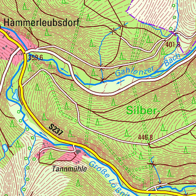 Staatsbetrieb Geobasisinformation und Vermessung Sachsen Leubsdorf, Leubsdorf (1:25,000 scale) digital map
