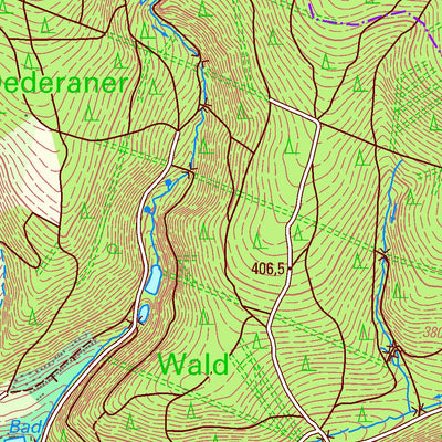 Staatsbetrieb Geobasisinformation und Vermessung Sachsen Mühlbach, Frankenberg/Sa., Stadt (1:25,000 scale) digital map