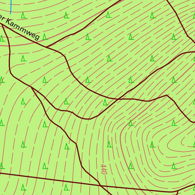 Staatsbetrieb Geobasisinformation und Vermessung Sachsen Rachlau, Kubschütz (1:10,000 scale) digital map