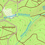 Staatsbetrieb Geobasisinformation und Vermessung Sachsen Rodau, Rosenbach/Vogtl. (1:10,000 scale) digital map