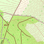 Staatsbetrieb Geobasisinformation und Vermessung Sachsen Sorgau, Marienberg, Stadt (1:10,000 scale) digital map