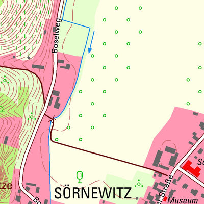 Staatsbetrieb Geobasisinformation und Vermessung Sachsen Sörnewitz, Coswig, Stadt (1:10,000 scale) digital map