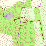 Staatsbetrieb Geobasisinformation und Vermessung Sachsen Spittel, Weißenberg, Stadt (1:10,000 scale) digital map