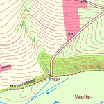 Staatsbetrieb Geobasisinformation und Vermessung Sachsen Technitz, Döbeln, Stadt (1:10,000 scale) digital map