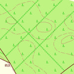 Staatsbetrieb Geobasisinformation und Vermessung Sachsen Triestewitz, Arzberg (1:10,000 scale) digital map