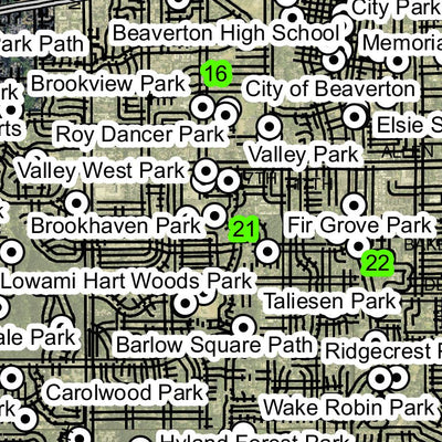 Super See Services Beaverton T1S R1W Township Map digital map