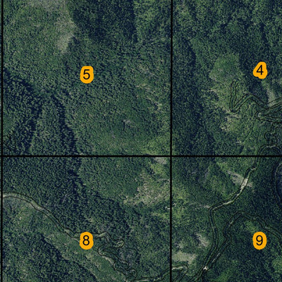 Super See Services Blue Creek Mountain T12N R4E digital map