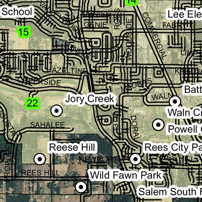 Super See Services Salem T8S R3W Township Map digital map