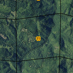 Super See Services Trees of Mystery T14N R1E digital map