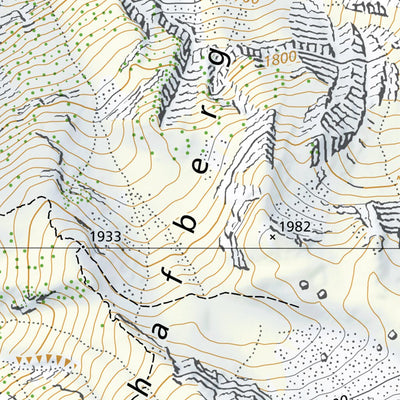 SwissTopo Aeschi bei Spiez, 1:10,000 digital map