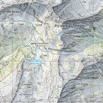 SwissTopo Aletschgletscher, 1:25,000 digital map