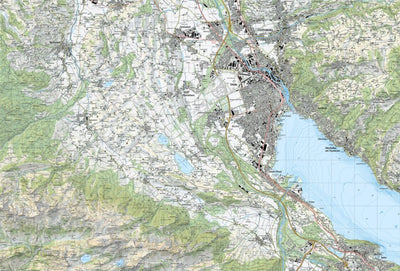 SwissTopo Amsteg, 1:25,000 digital map