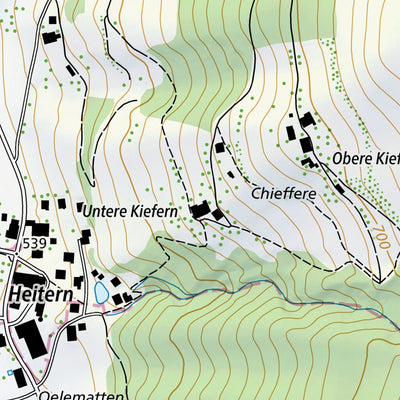 SwissTopo Belp, 1:10,000 digital map