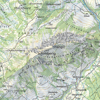 SwissTopo Bern, 1:25,000 digital map