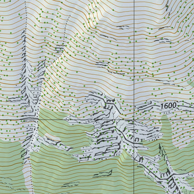 SwissTopo Blenio 1, 1:10,000 digital map