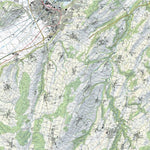 SwissTopo Brienz, 1:25,000 digital map
