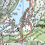 SwissTopo Brünigpass, 1:100,000 digital map