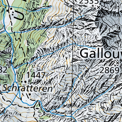 SwissTopo Brünigpass, 1:100,000 digital map