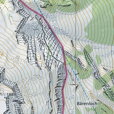 SwissTopo Bürglen, 1:10,000 digital map