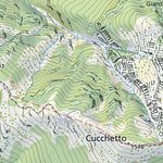 SwissTopo Camorino, 1:10,000 digital map