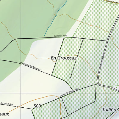 SwissTopo Dardagny, 1:10,000 digital map