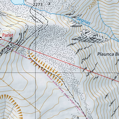 SwissTopo Disentis/Mustér, 1:10,000 digital map