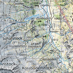 SwissTopo Disentis / Mustér, 1:50,000 digital map