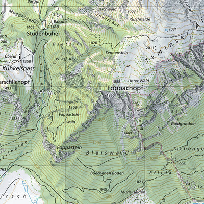 SwissTopo Engelberg, 1:25,000 digital map
