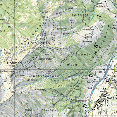 SwissTopo Flims / Flem, 1:25,000 digital map