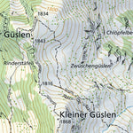 SwissTopo Flums 1, 1:10,000 digital map
