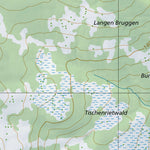 SwissTopo Grabs, 1:10,000 digital map