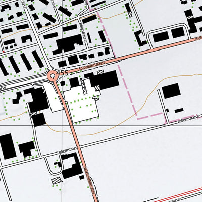 SwissTopo Grenchen, 1:10,000 digital map