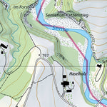 SwissTopo Guggisberg, 1:10,000 digital map