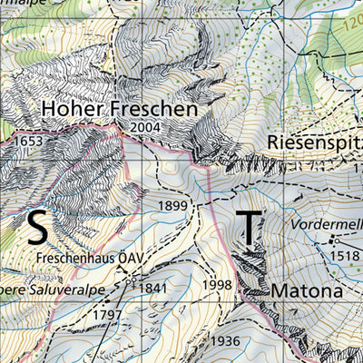 SwissTopo Hoher Freschen, 1:50,000 digital map